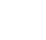 Hond in balans